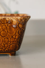 Brush Mccoy Spots Brown Rectangle Pot