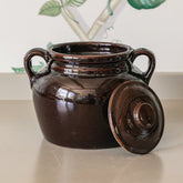 Brown Pot w/ Handles & Lid