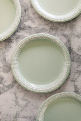 Equestrian Jasperware Inspired Dinner Paper Plates Pack of 8