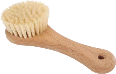 Pet Brush