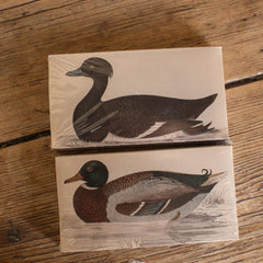 Matchbox, Ducks