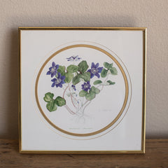 Framed Hepatica Watercolor Botanical Print