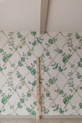 Peg Rack, Locally Made
