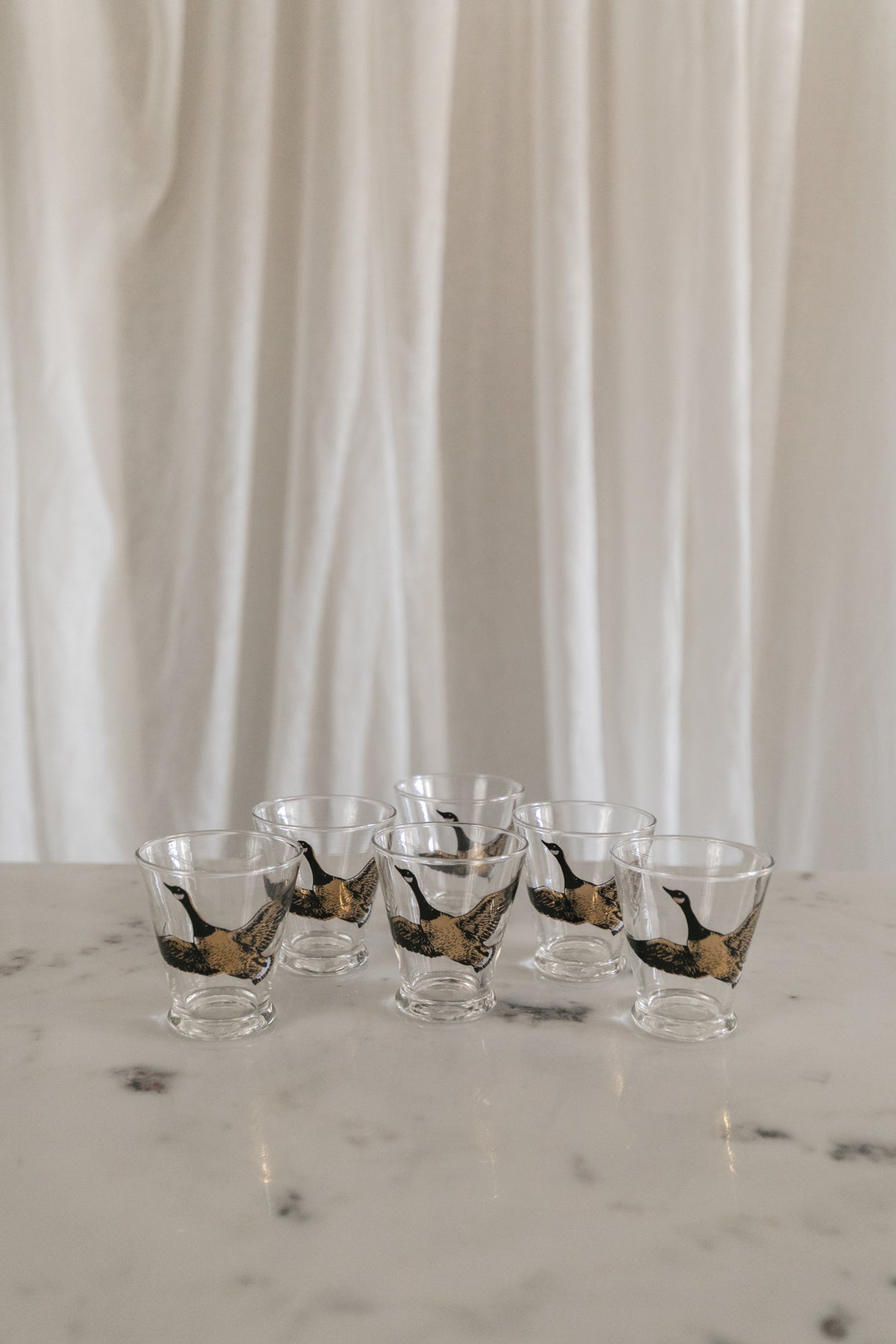Flying Geese Glasses, Set of 6