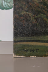 Hilly Landscape