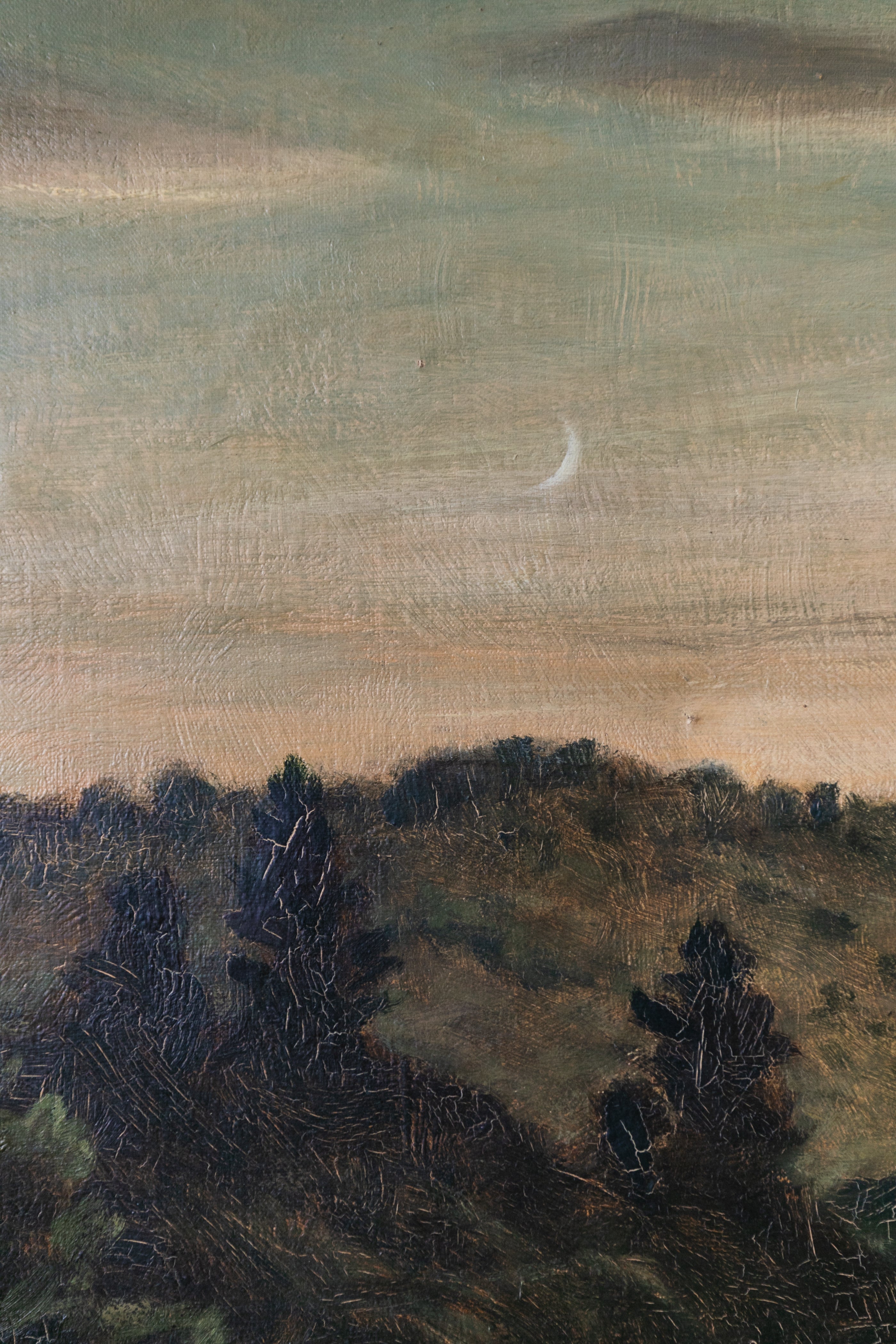 Hilly Landscape