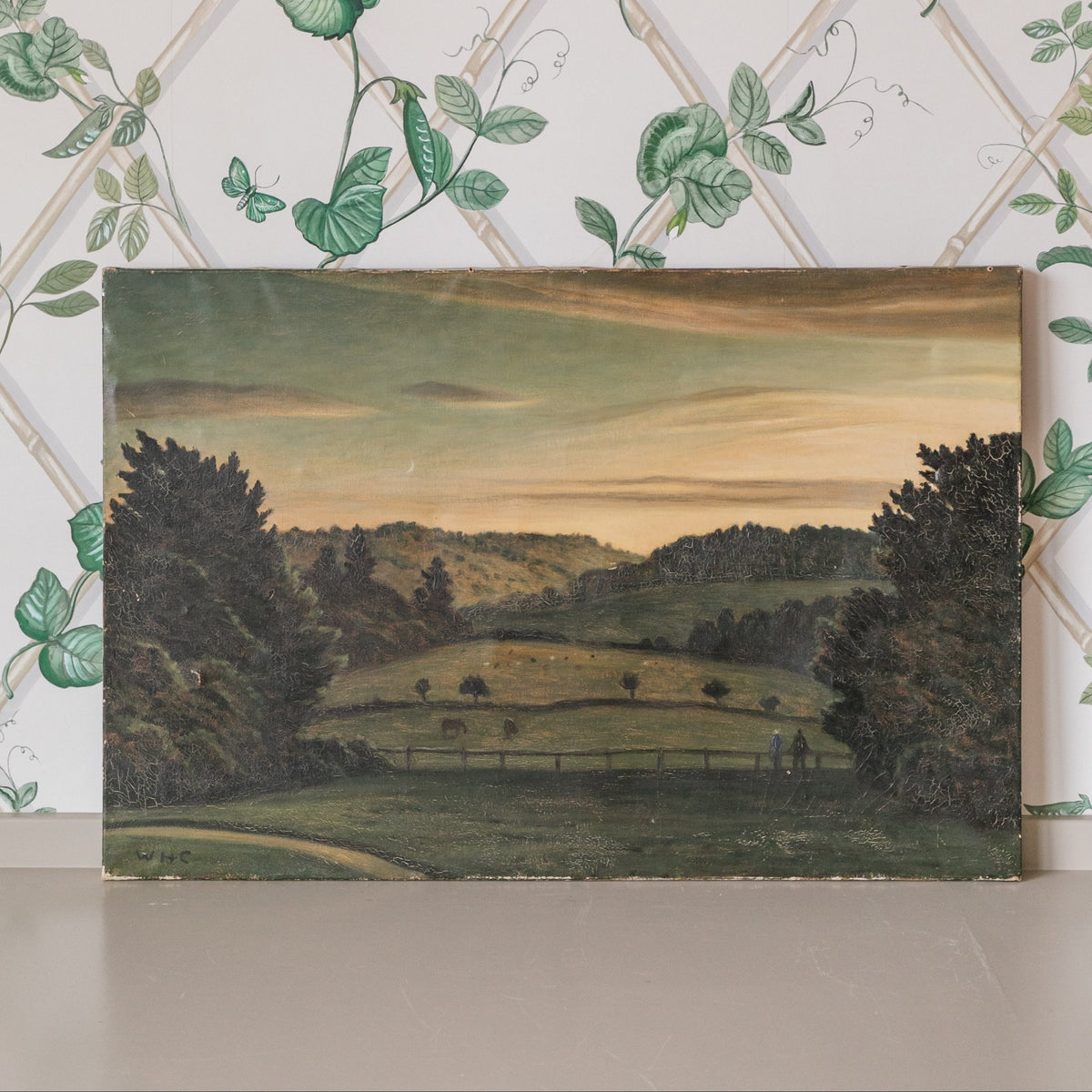 Hilly Landscape