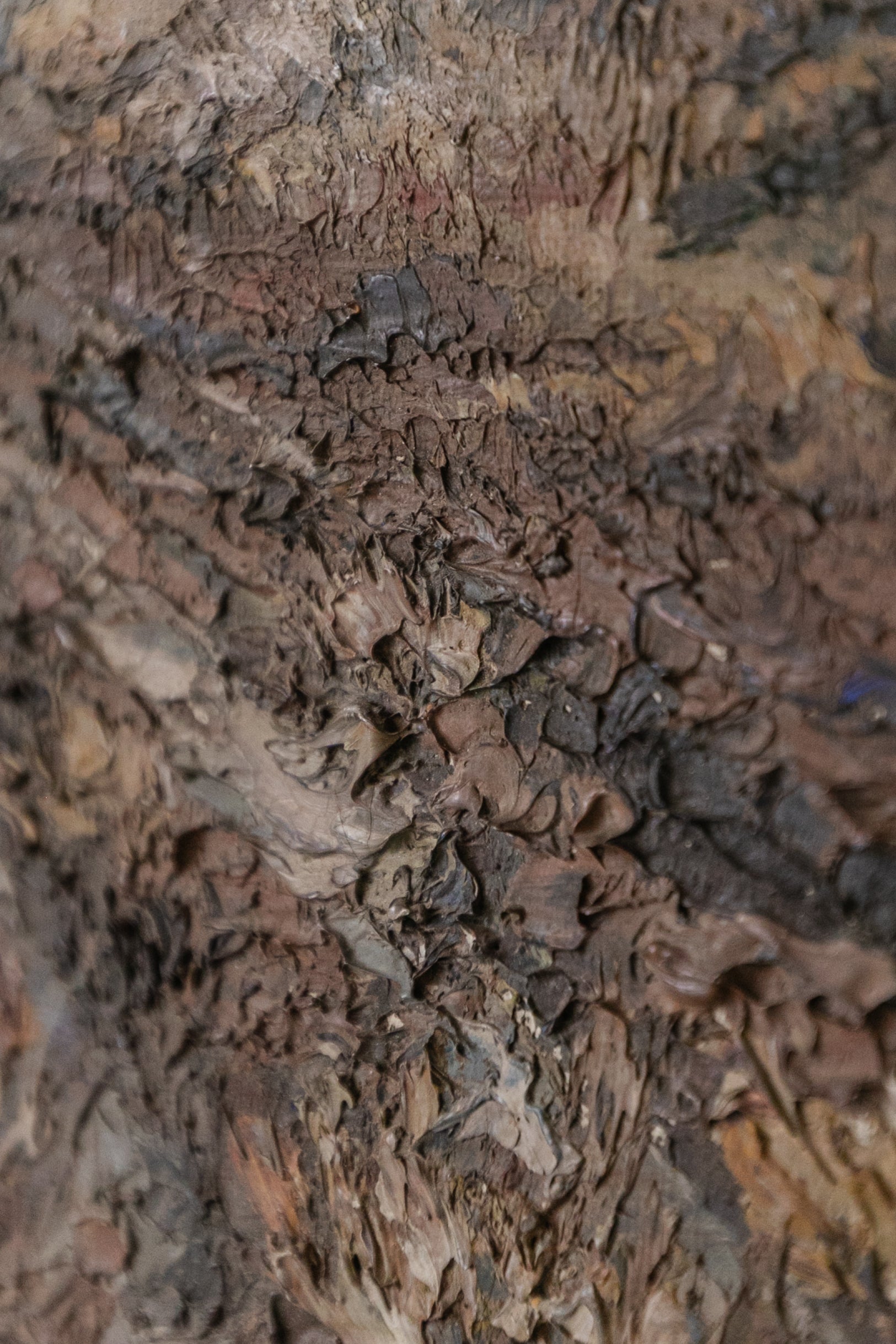 Muddy Path Framed Landscape