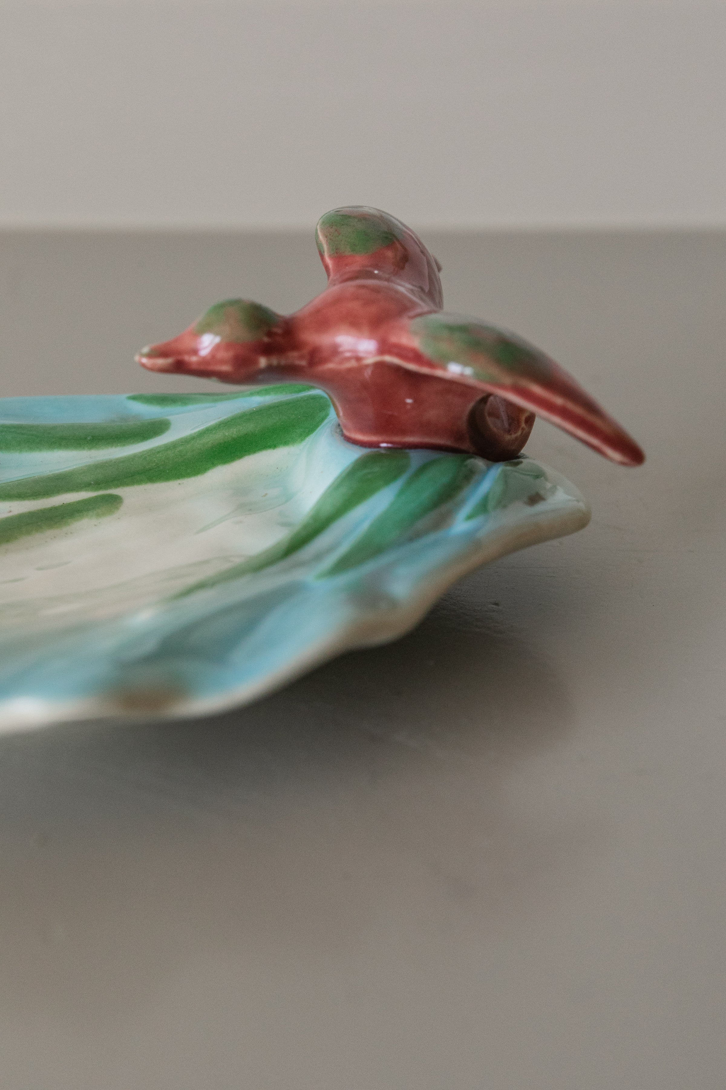 Duck Dish