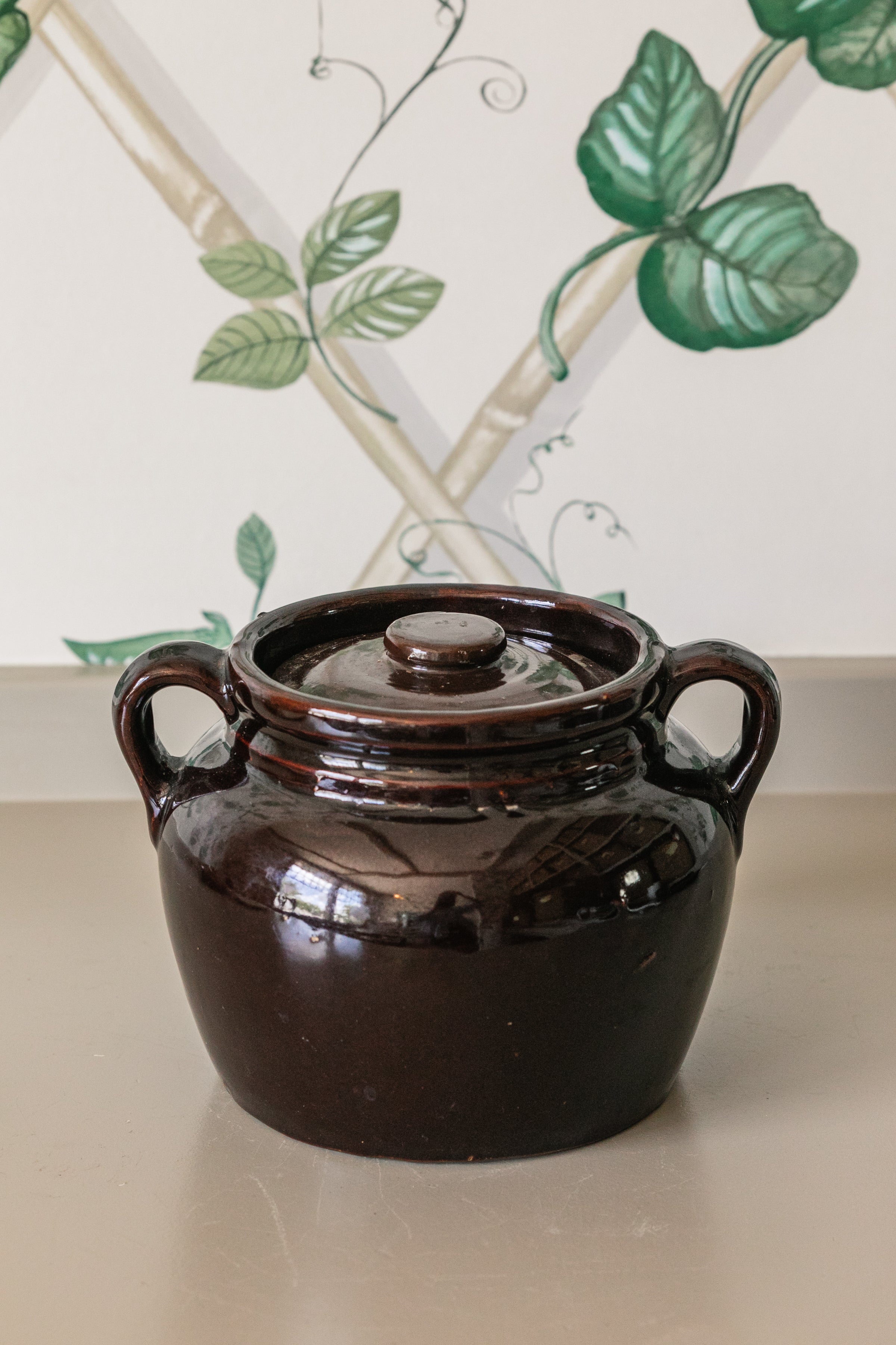 Brown Pot w/ Handles & Lid