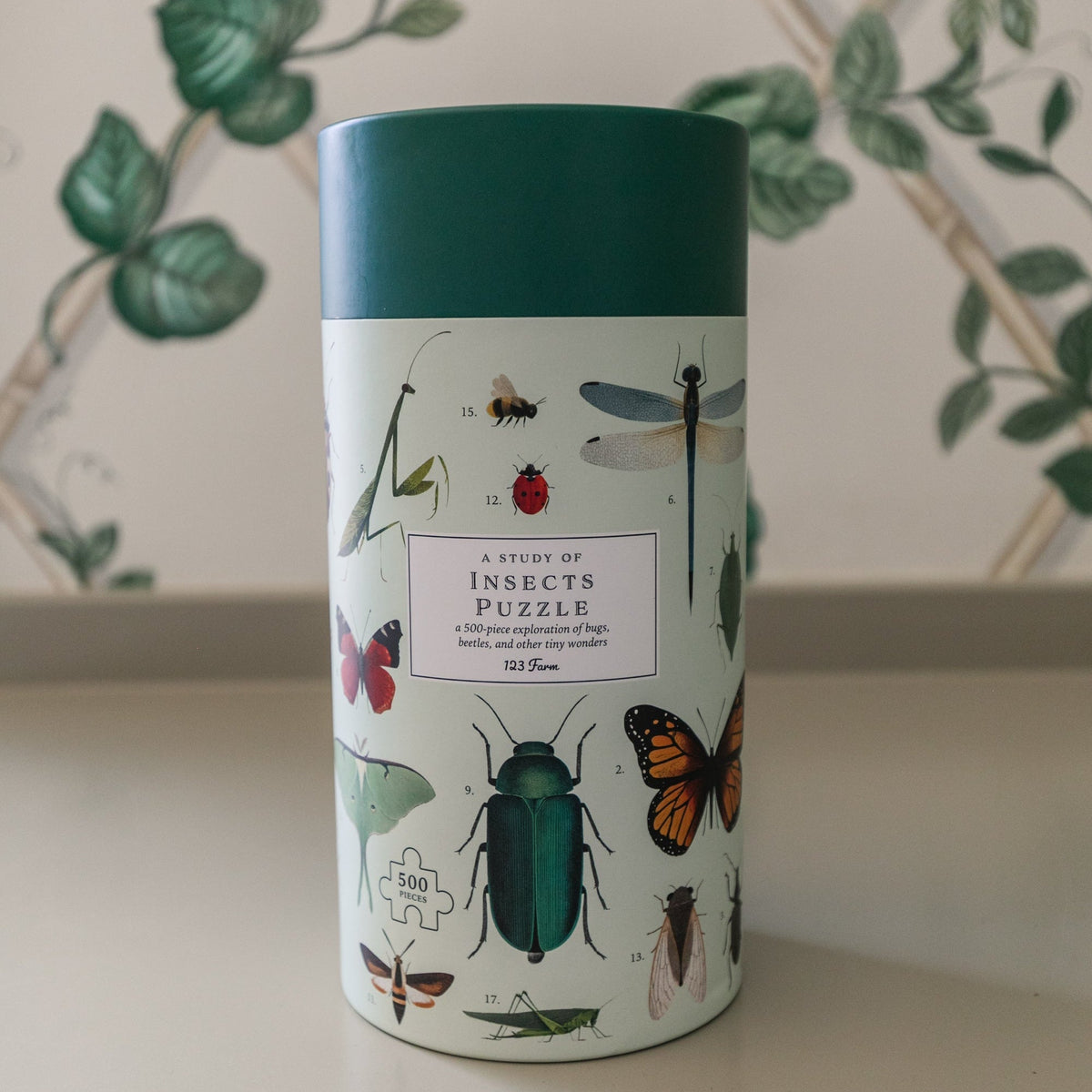 Insects Puzzle