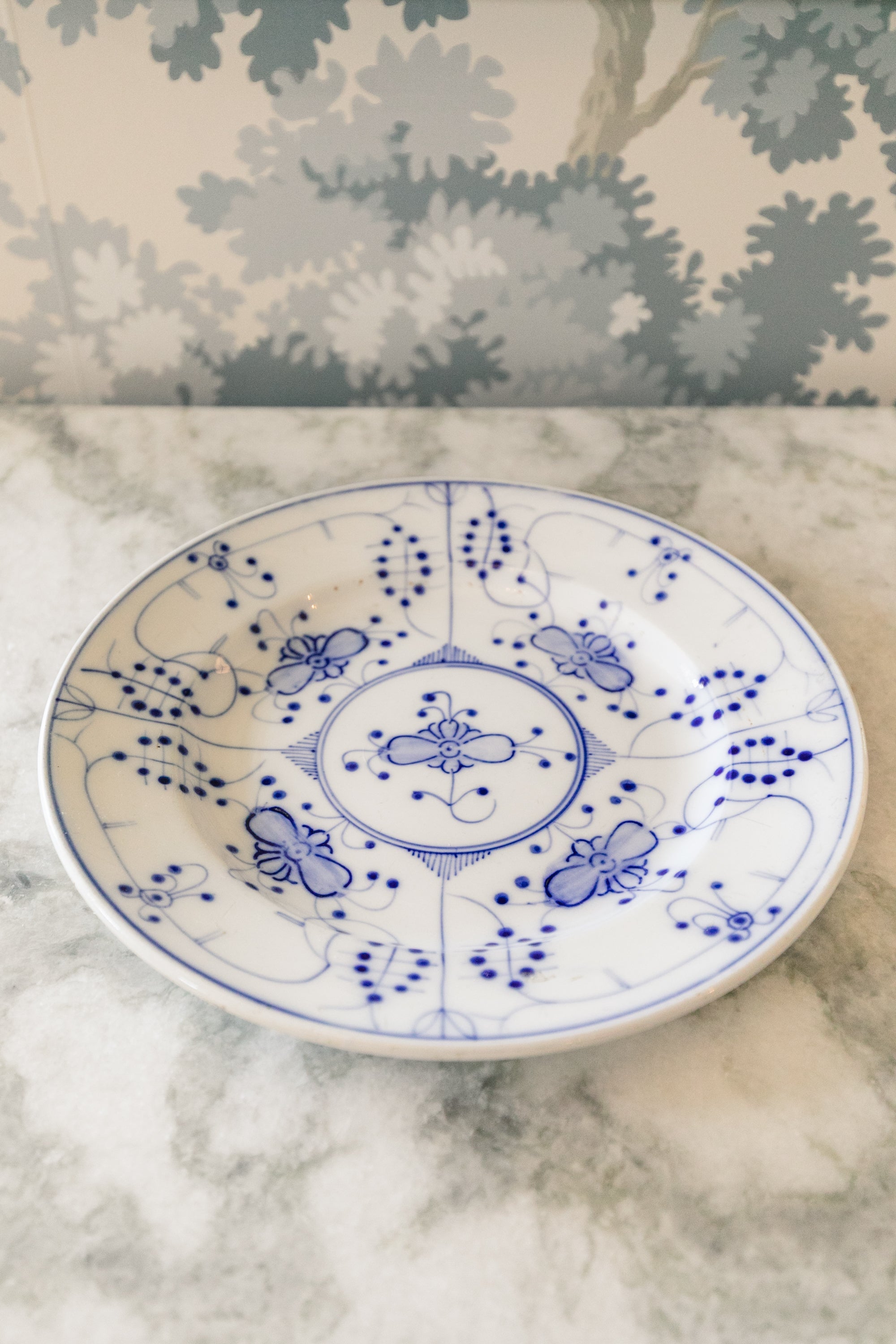 Blue and White Plate