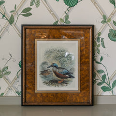 Duck with Painted Burl Matting