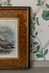 Duck with Painted Burl Matting